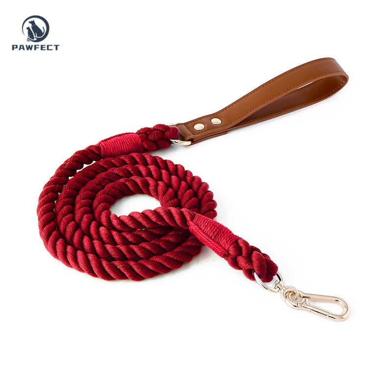 Woven Cotton Dog Leash with Soft Leather
