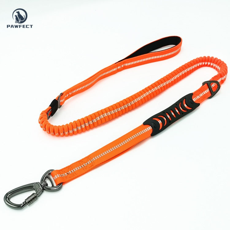 Reflective Elastic Dog Leash with Car Seatbelt Buckle