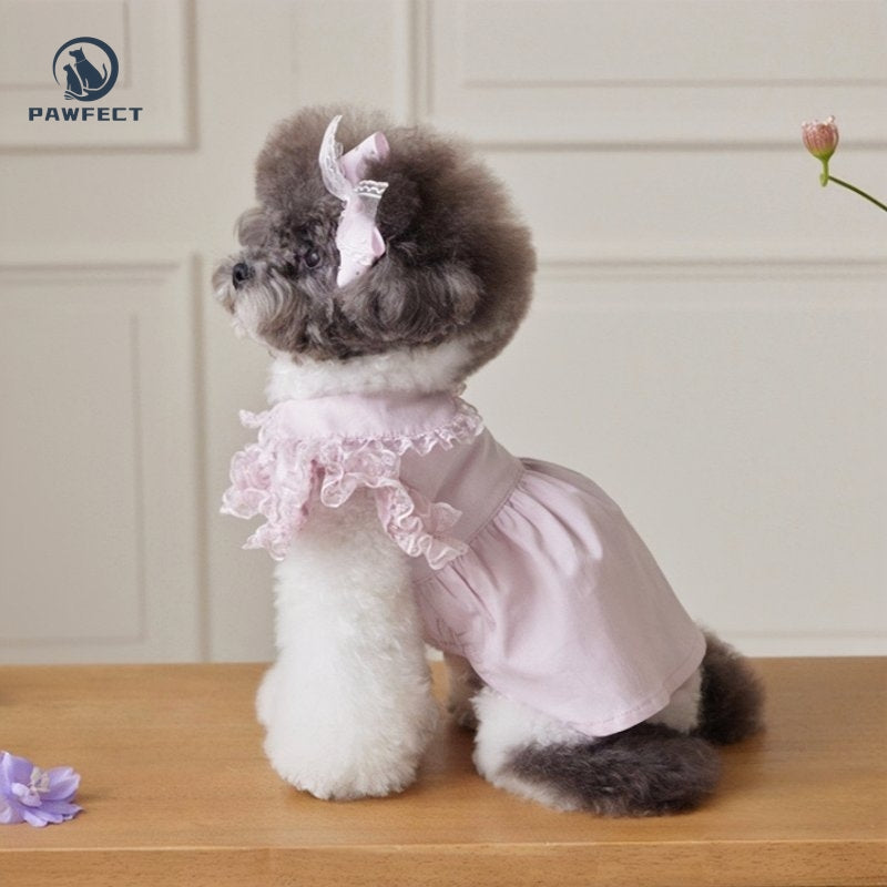 Lightweight Lace Flutter-Sleeve Dog Dress – Elegant Lady Style