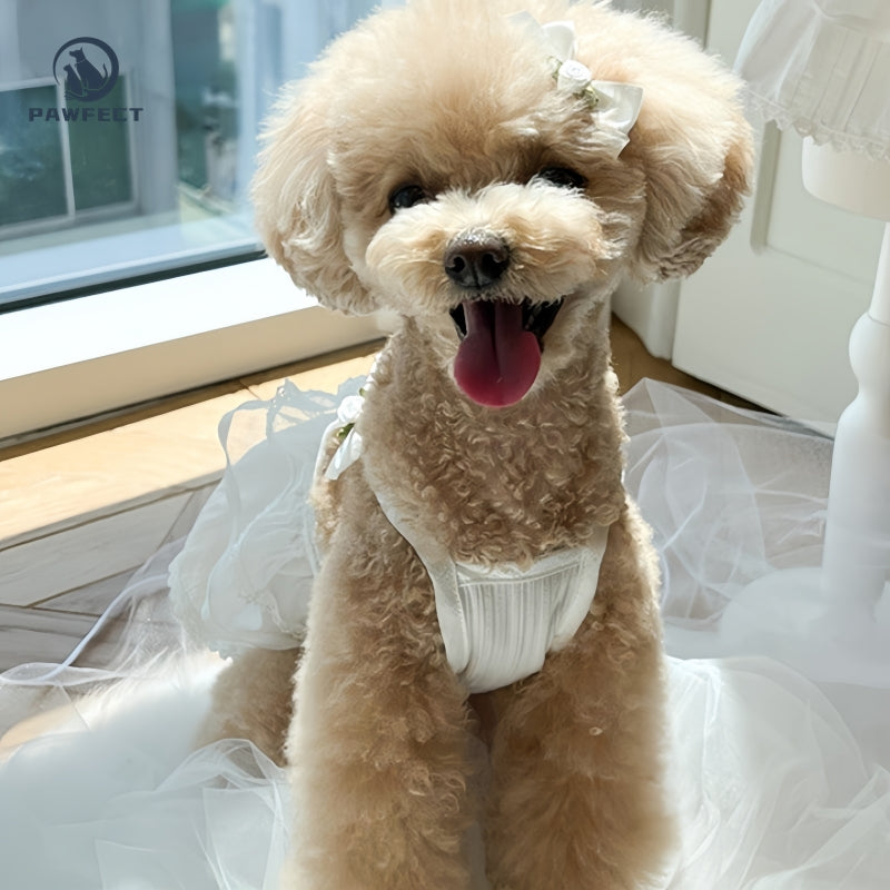 Lightweight Lace Dog Dress in Sweet Style