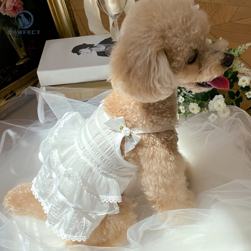 Lightweight Lace Dog Dress in Sweet Style