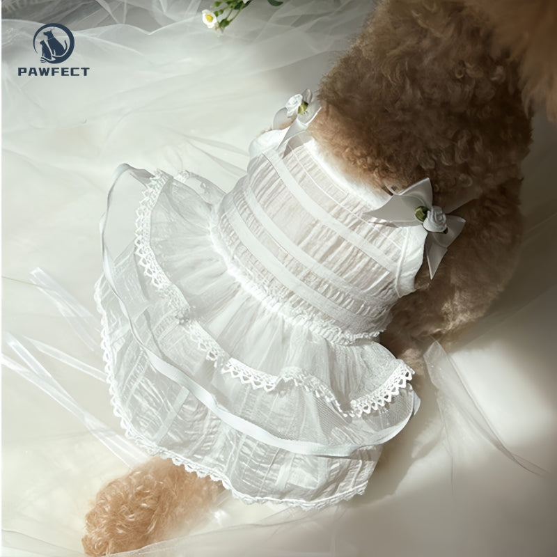 Lightweight Lace Dog Dress in Sweet Style