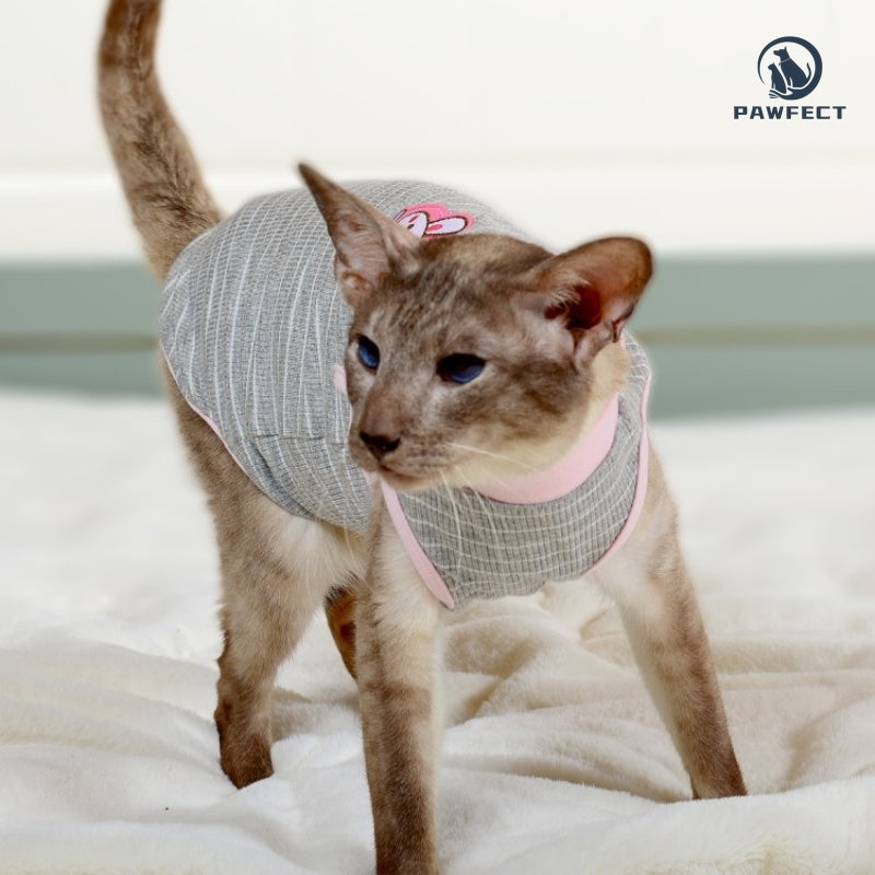 Lightweight Striped Tee for Cats
