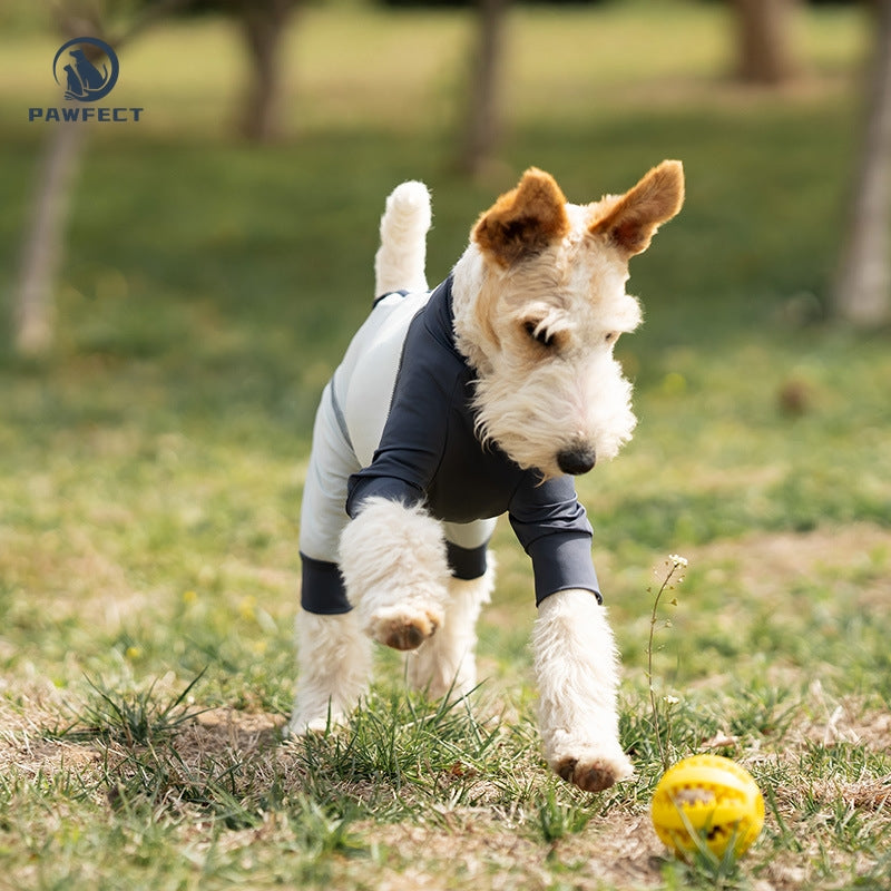 Cooling Quick-Dry UV-Protection Dog Jumpsuit – Breathable 4-Leg Design