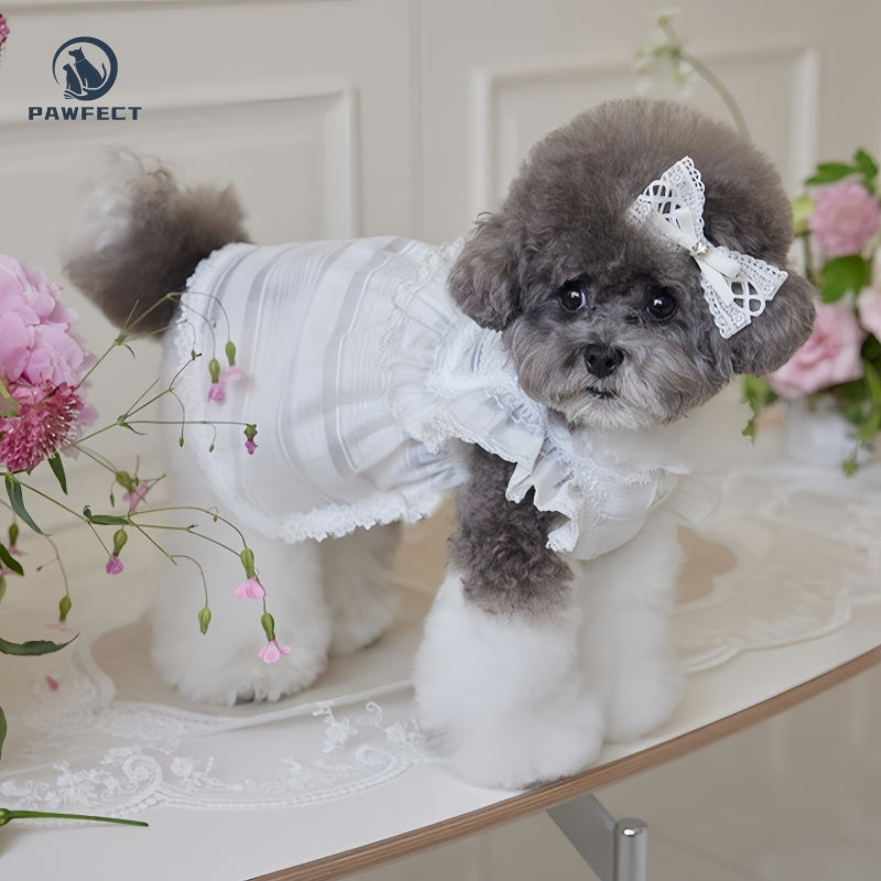 Lightweight Lace Dog Dress in Sweet Style