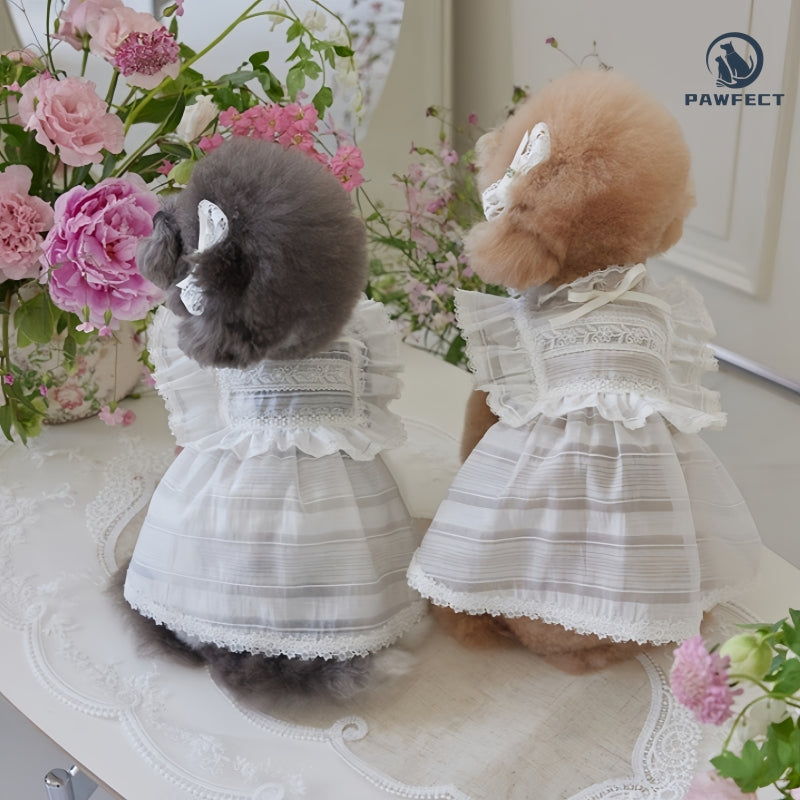 Lightweight Lace Dog Dress in Sweet Style