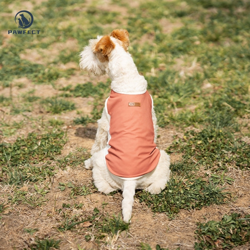 Breathable Mesh Quick-Dry Dog Vest