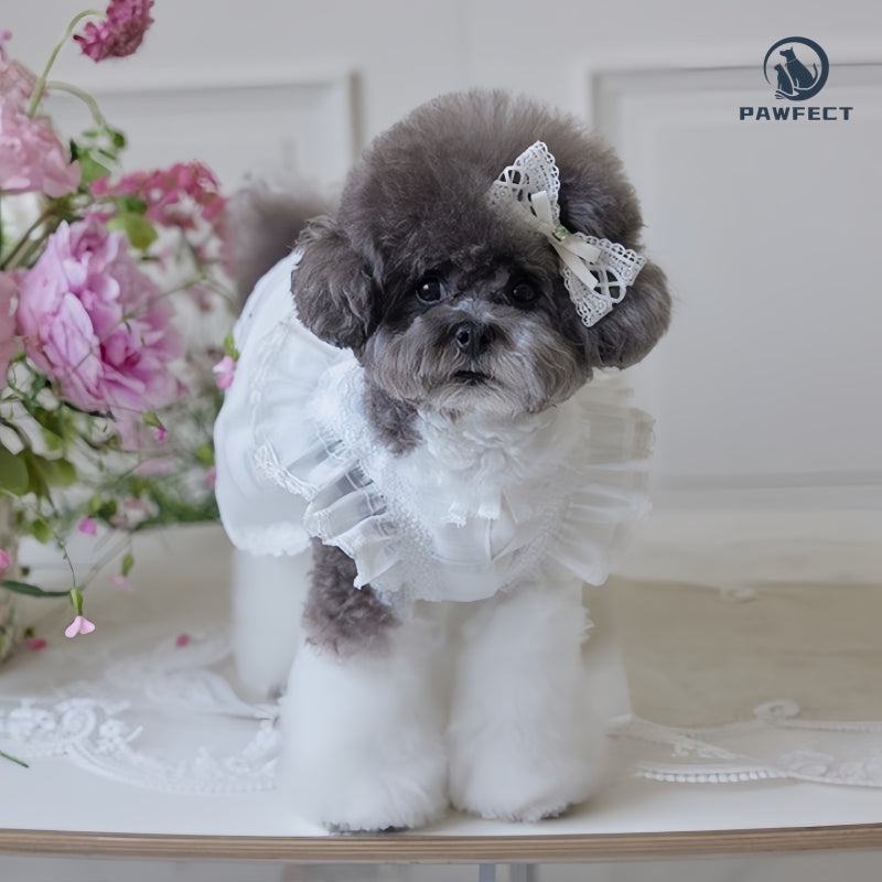 Lightweight Lace Dog Dress in Sweet Style