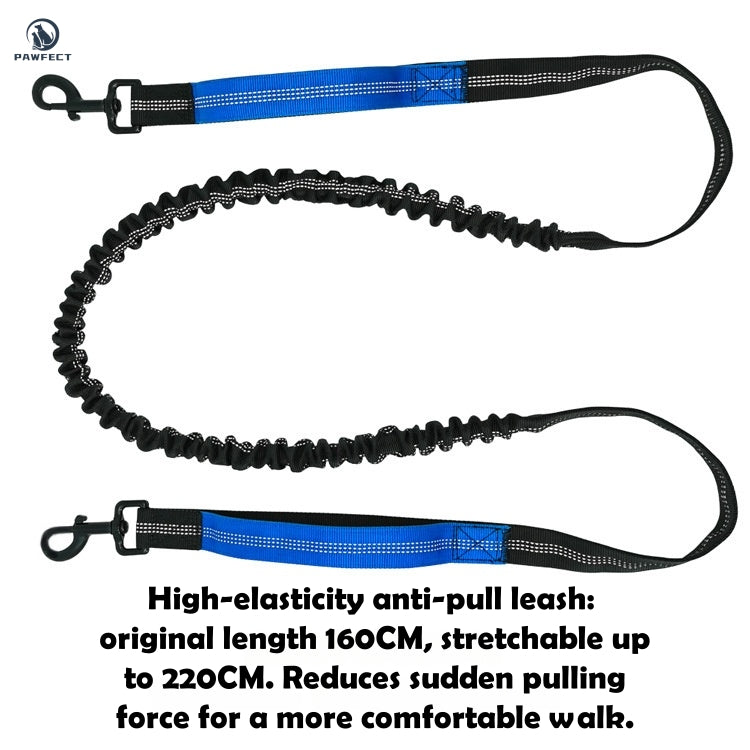 Hands-Free Dog Leash with Waist Pack – Multifunctional Running & Walking Belt