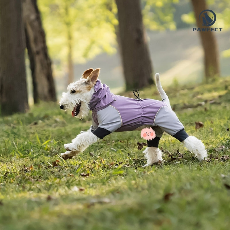 Waterproof Dog Raincoat with 4-Leg Coverage and Leash Hole