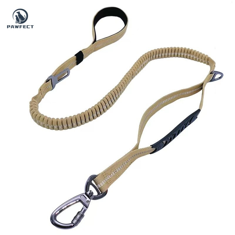 Reflective Elastic Dog Leash with Car Seatbelt Buckle
