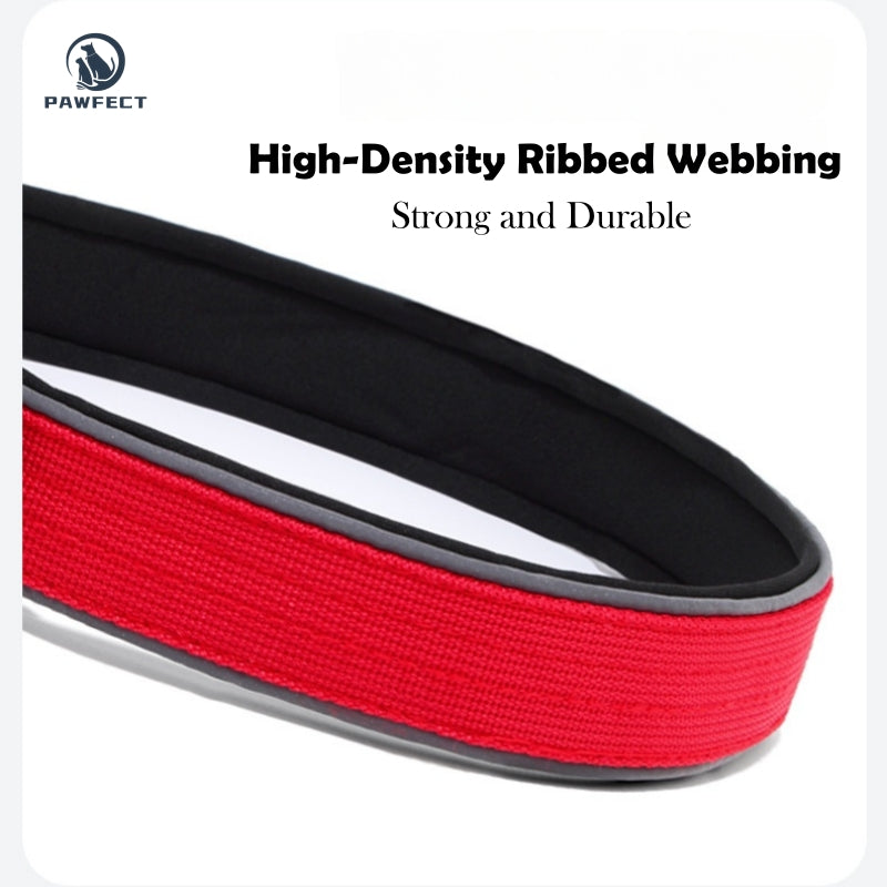 Durable Adjustable Dog Collar with Reflective Piping