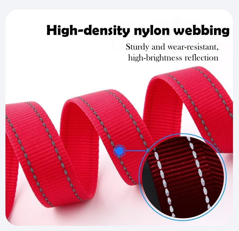 Reflective Nylon Dog Leash