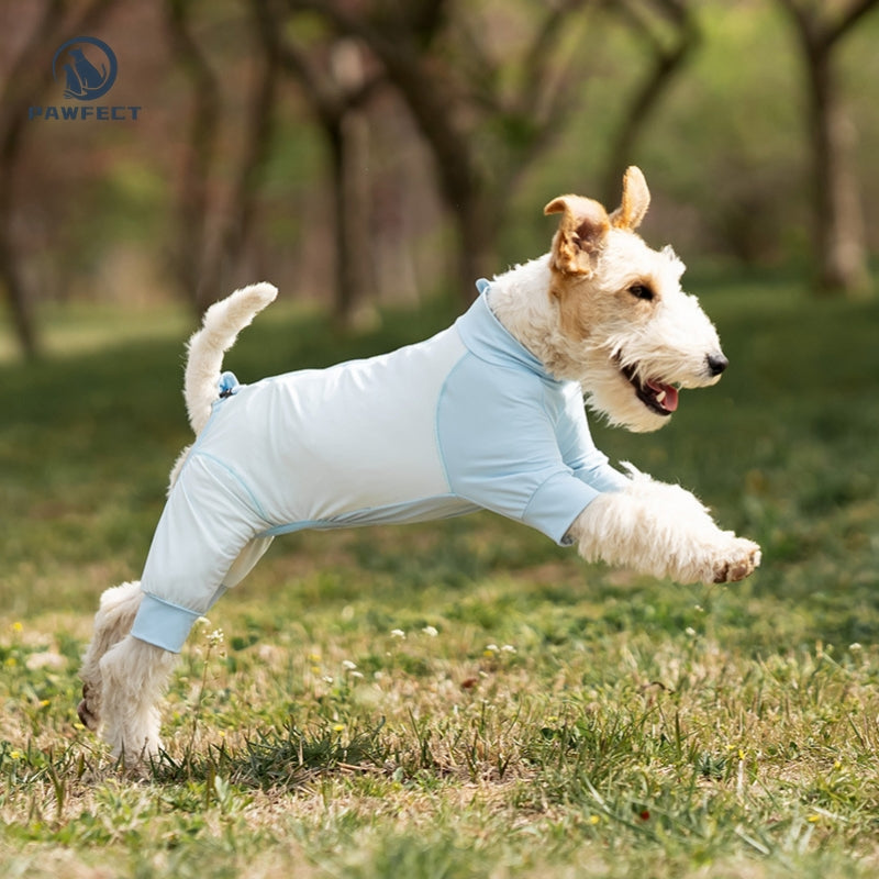 Cooling Quick-Dry UV-Protection Dog Jumpsuit – Breathable 4-Leg Design