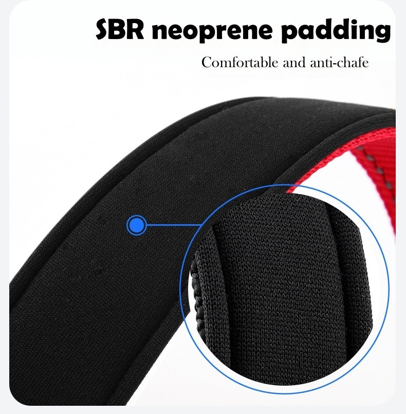 Reflective Nylon Dog Leash