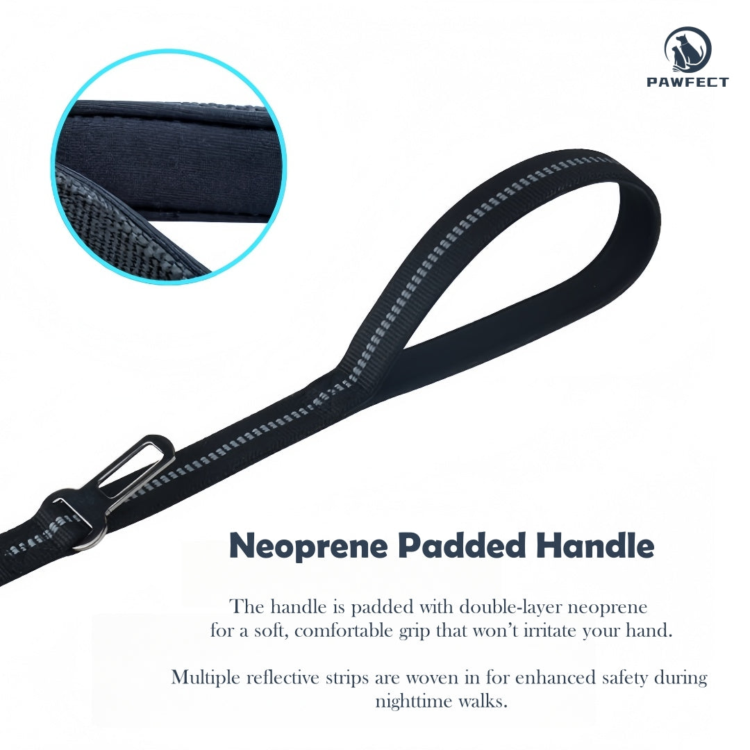 Reflective Elastic Dog Leash with Car Seatbelt Buckle