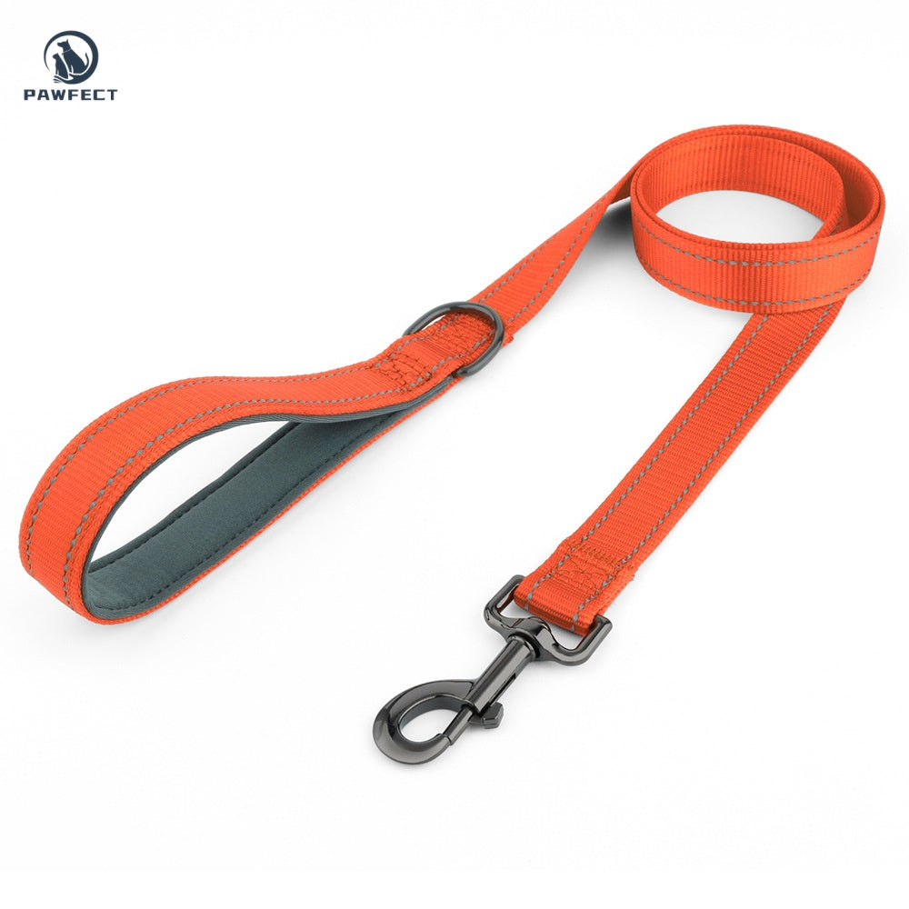 Reflective Nylon Dog Leash