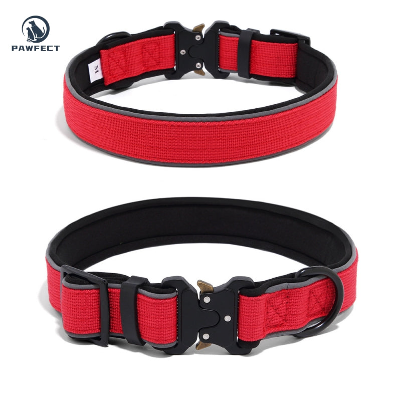 Durable Adjustable Dog Collar with Reflective Piping
