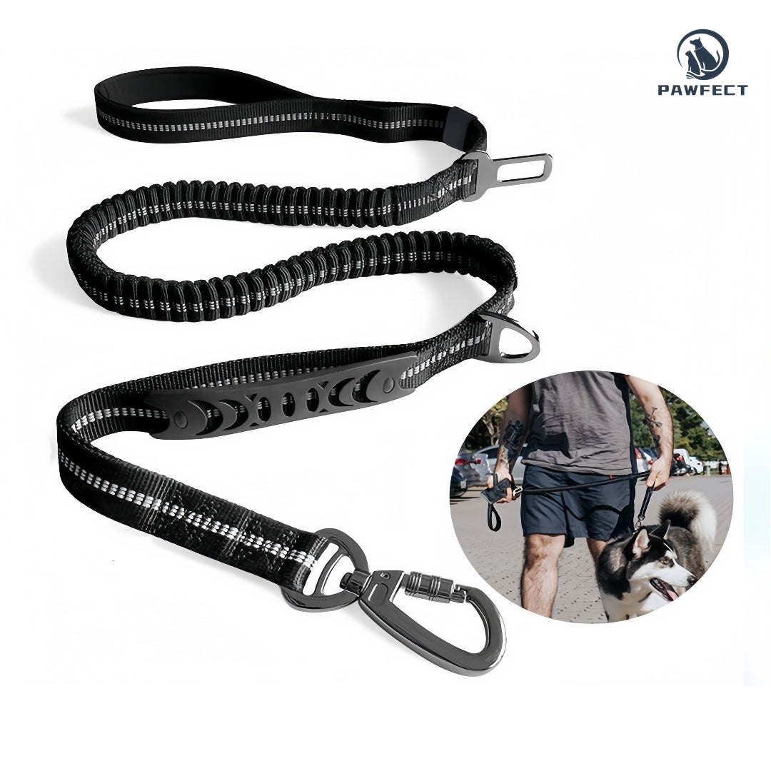 Reflective Elastic Dog Leash with Car Seatbelt Buckle