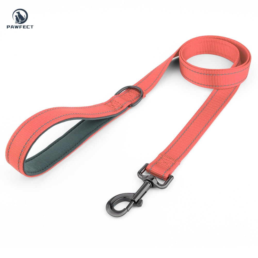 Reflective Nylon Dog Leash