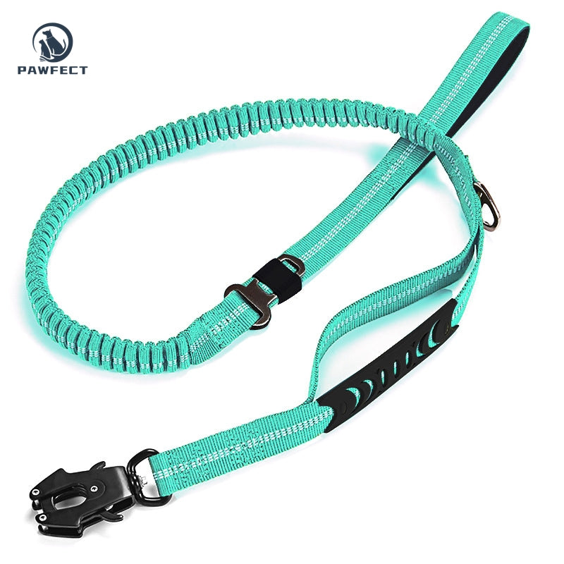 Reflective Pet Leash with Car Seatbelt Buckle & Frog Clip
