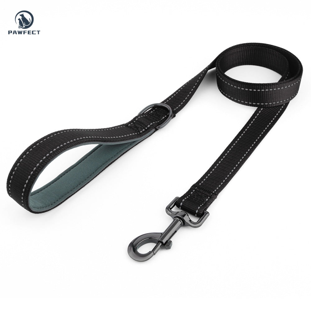 Reflective Nylon Dog Leash