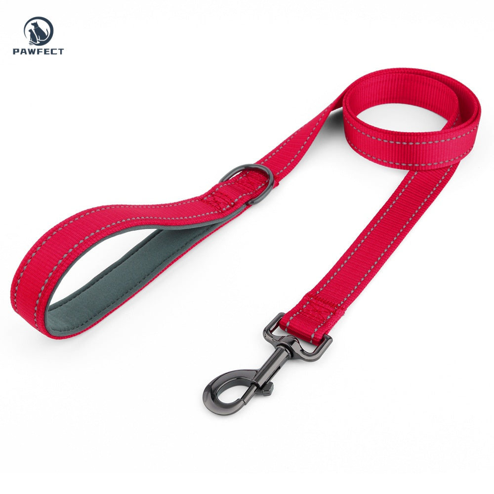 Reflective Nylon Dog Leash