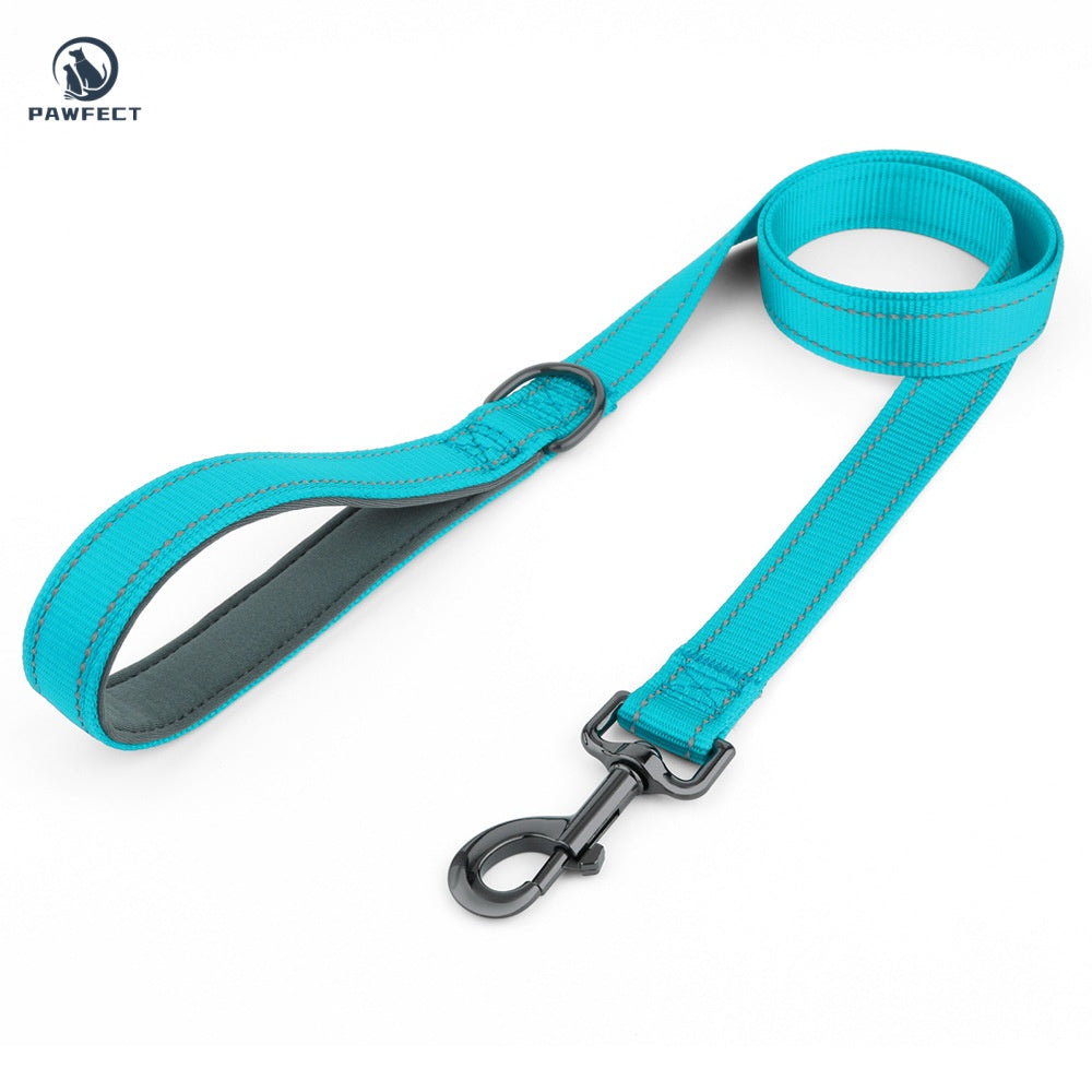 Reflective Nylon Dog Leash