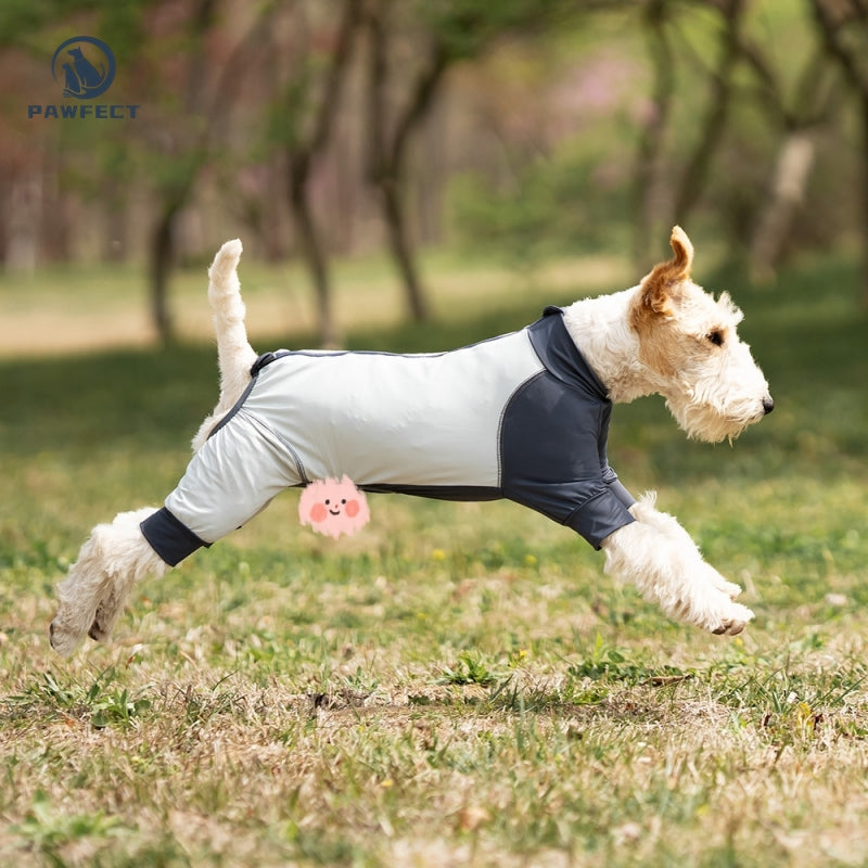 Cooling Quick-Dry UV-Protection Dog Jumpsuit – Breathable 4-Leg Design
