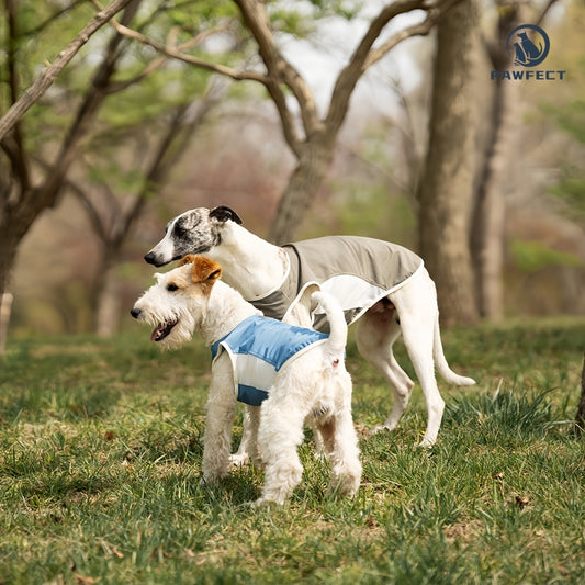 Breathable Mesh Quick-Dry Dog Vest
