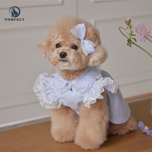 Lightweight Lace Flutter-Sleeve Dog Dress – Elegant Lady Style