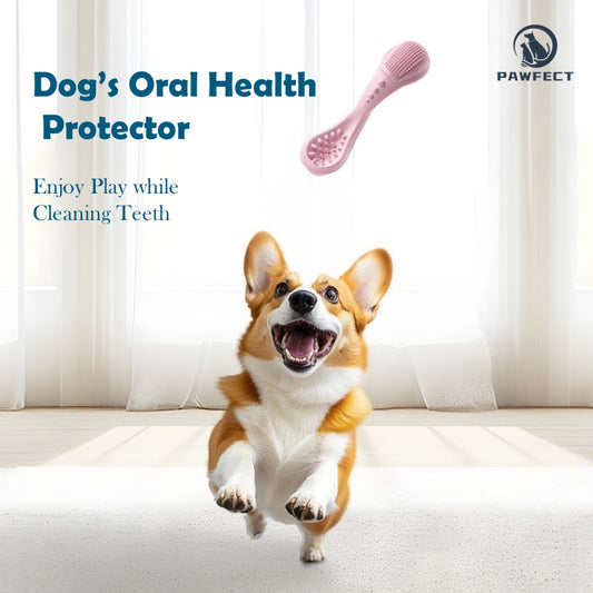 Spoon-Shaped Natural Rubber Chew and Teeth Cleaning Toy for Dogs