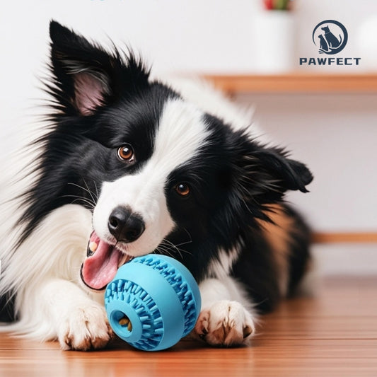 Rubber Treat Dispensing Chew Toy Ball for Dogs