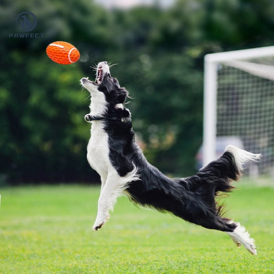 Squeaky Rugby Ball Chew Toy for Dogs