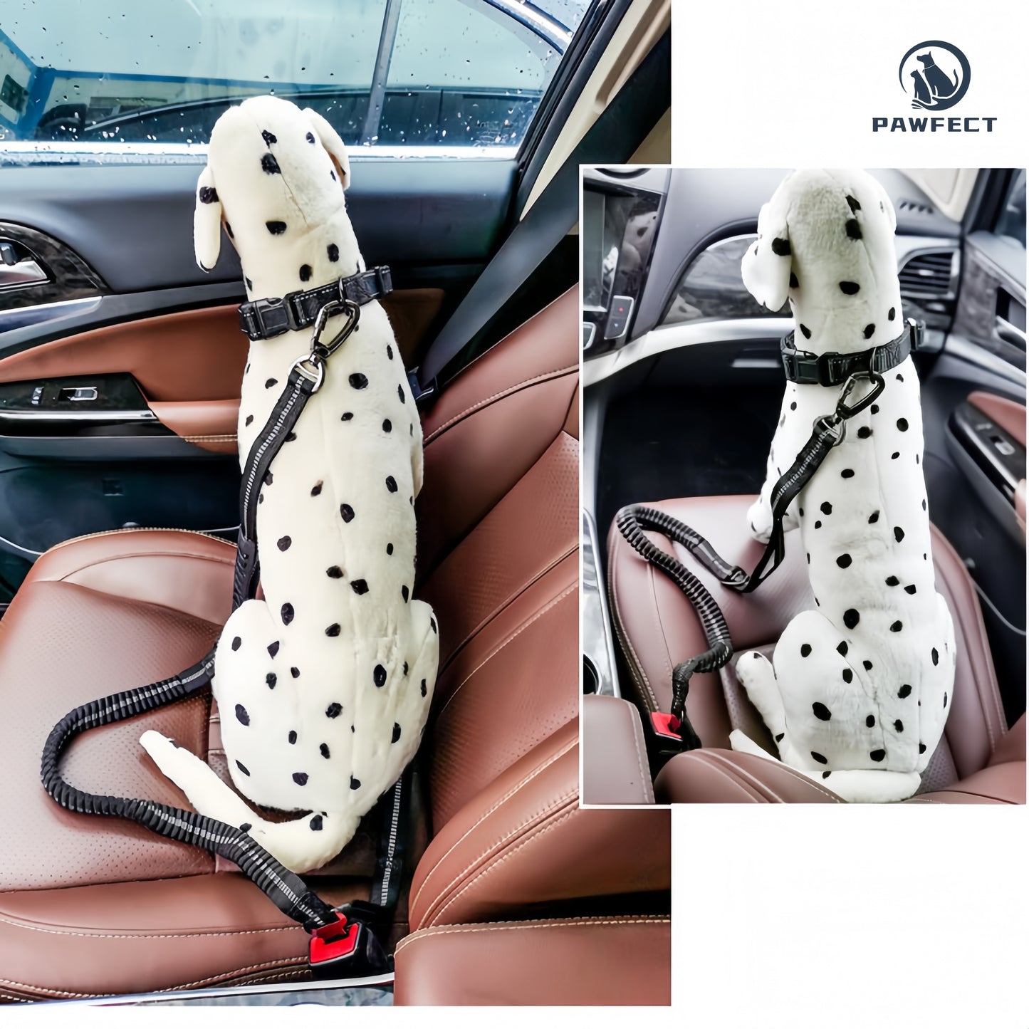Reflective Elastic Dog Leash with Car Seatbelt Buckle
