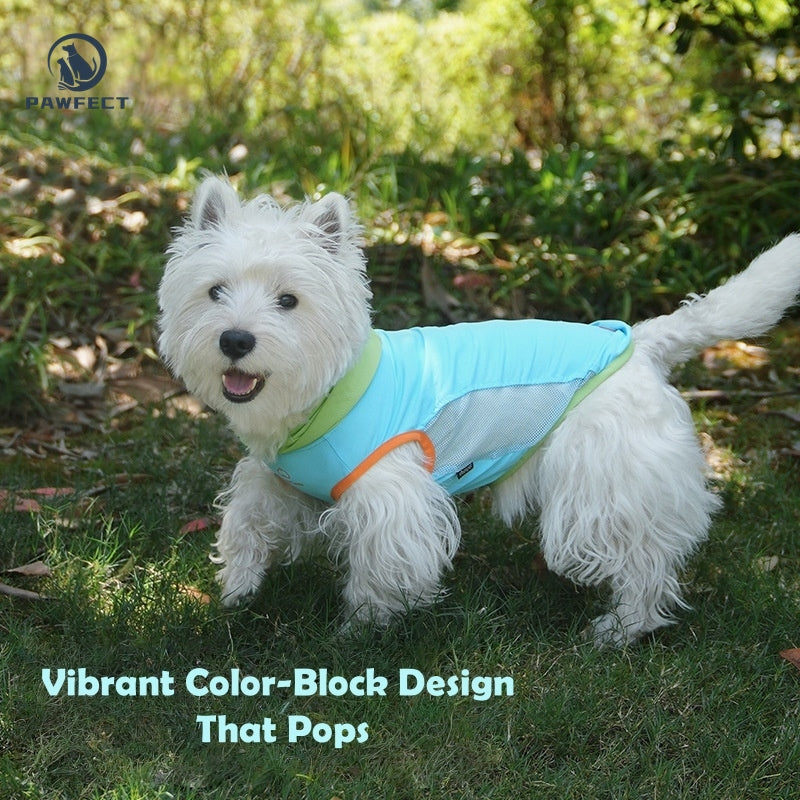 Cooling Colorblock Dog Hoodie Vest