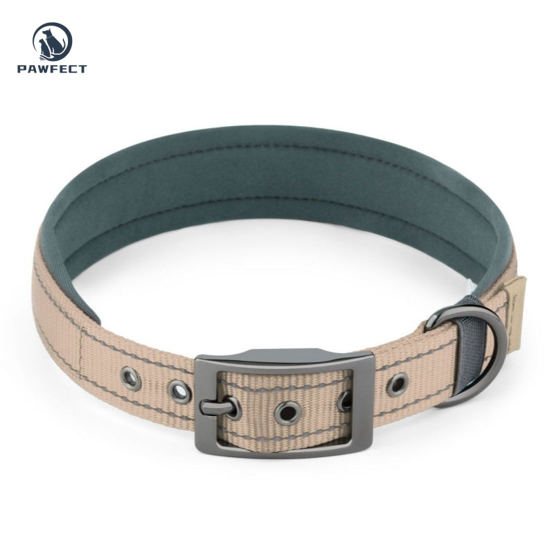 Comfort Neoprene Reflective Pet Collar