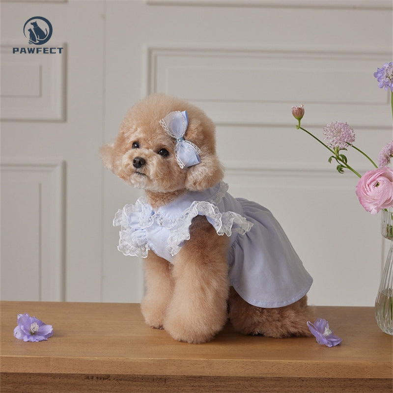 Lightweight Lace Flutter-Sleeve Dog Dress – Elegant Lady Style
