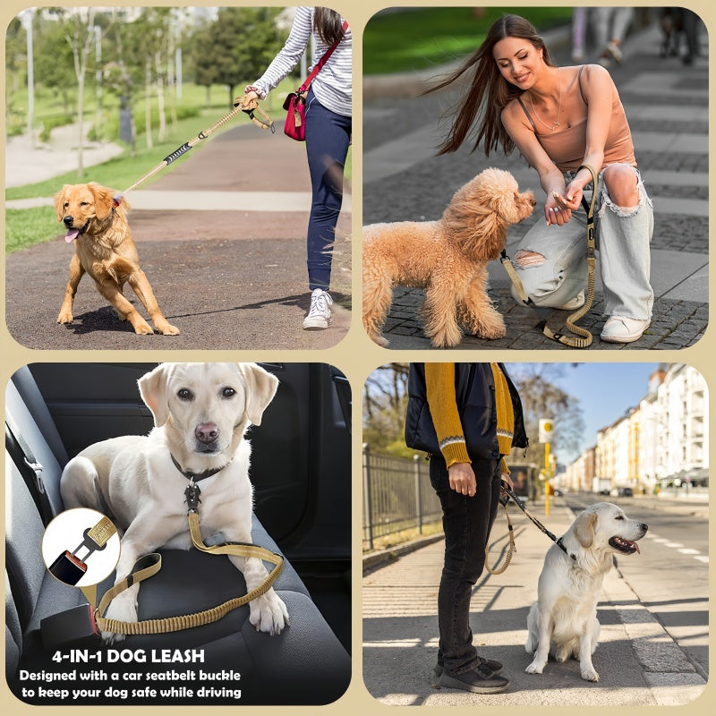 Reflective Pet Leash with Car Seatbelt Buckle & Frog Clip