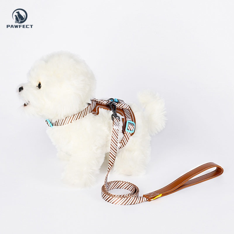 Leather Pet Harness & Leash Set – For Cats and Small Dogs