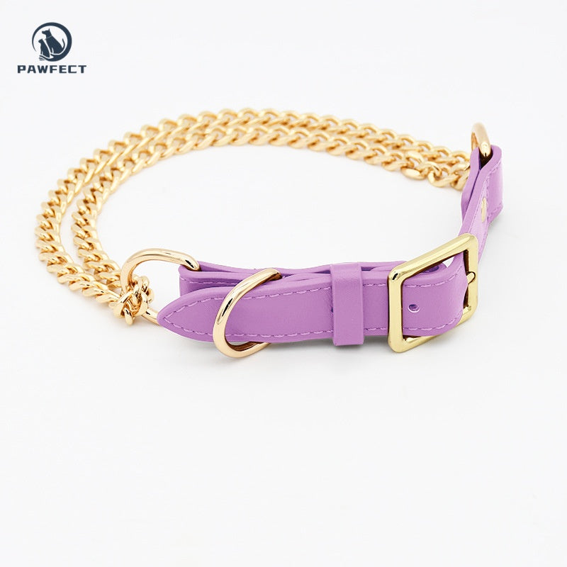 Golden Stainless Steel No-Pull Pet Collar & Leash Set