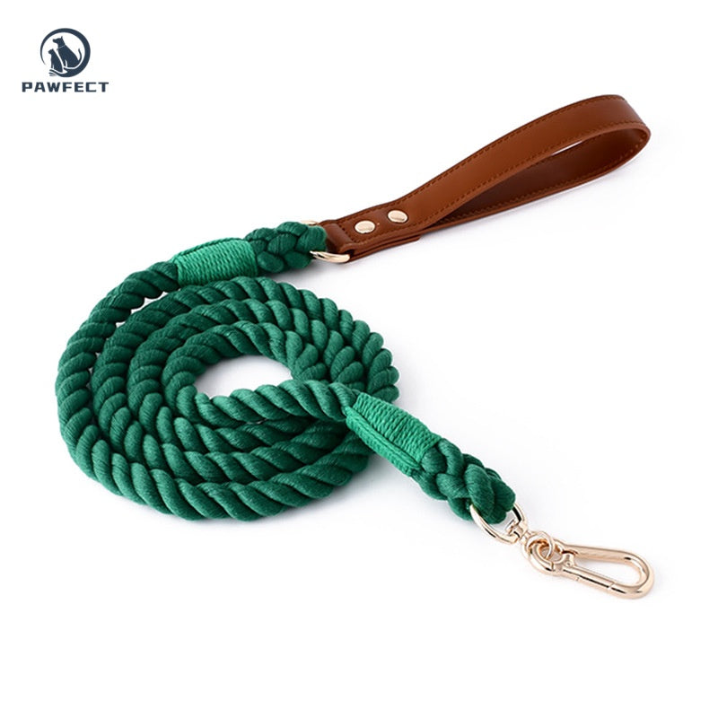 Woven Cotton Dog Leash with Soft Leather