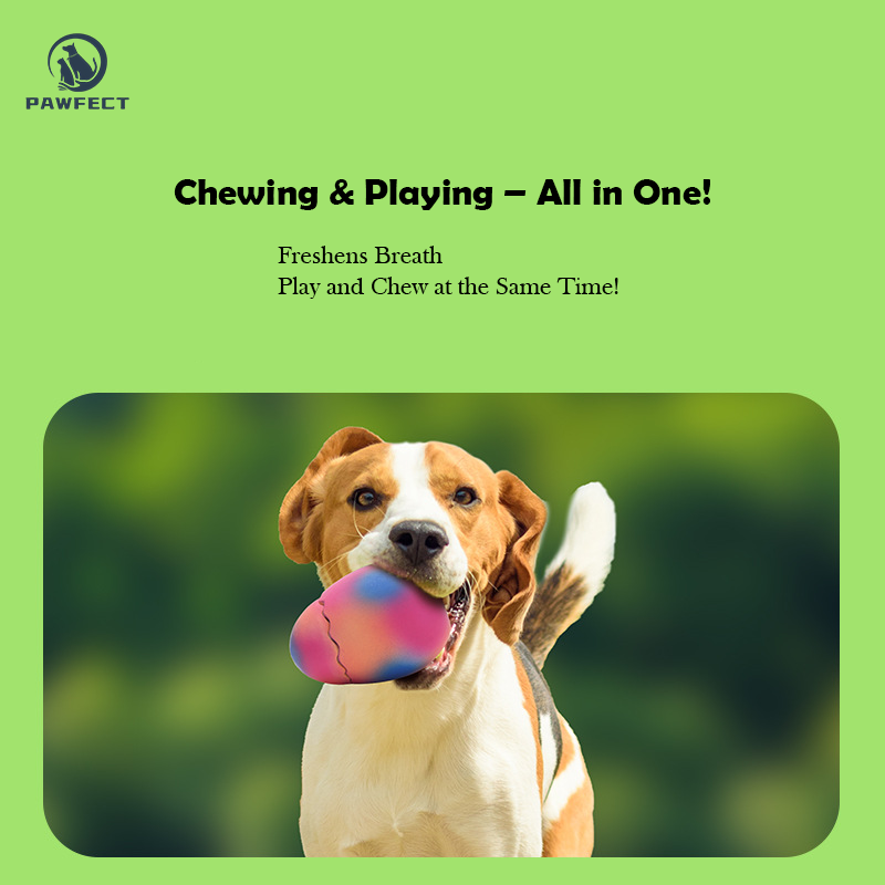 Interactive Latex Dinosaur Egg Toy for Pets