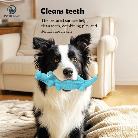 Natural Rubber Crocodile Chew Toy with Squeaker