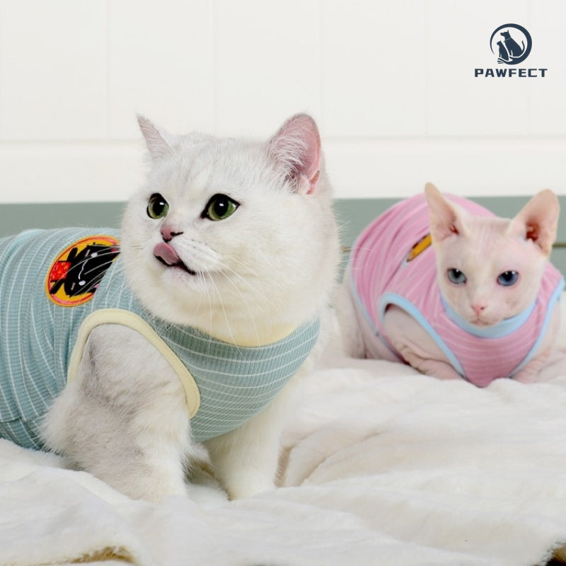 Lightweight Striped Tee for Cats