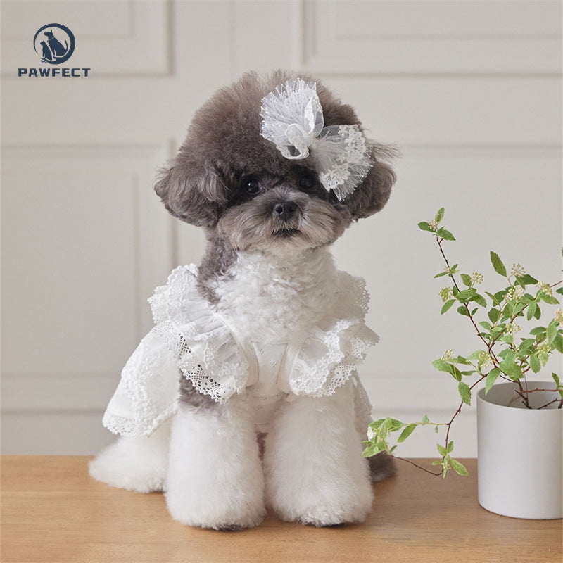 Lightweight Lace Dog Dress in Sweet Style