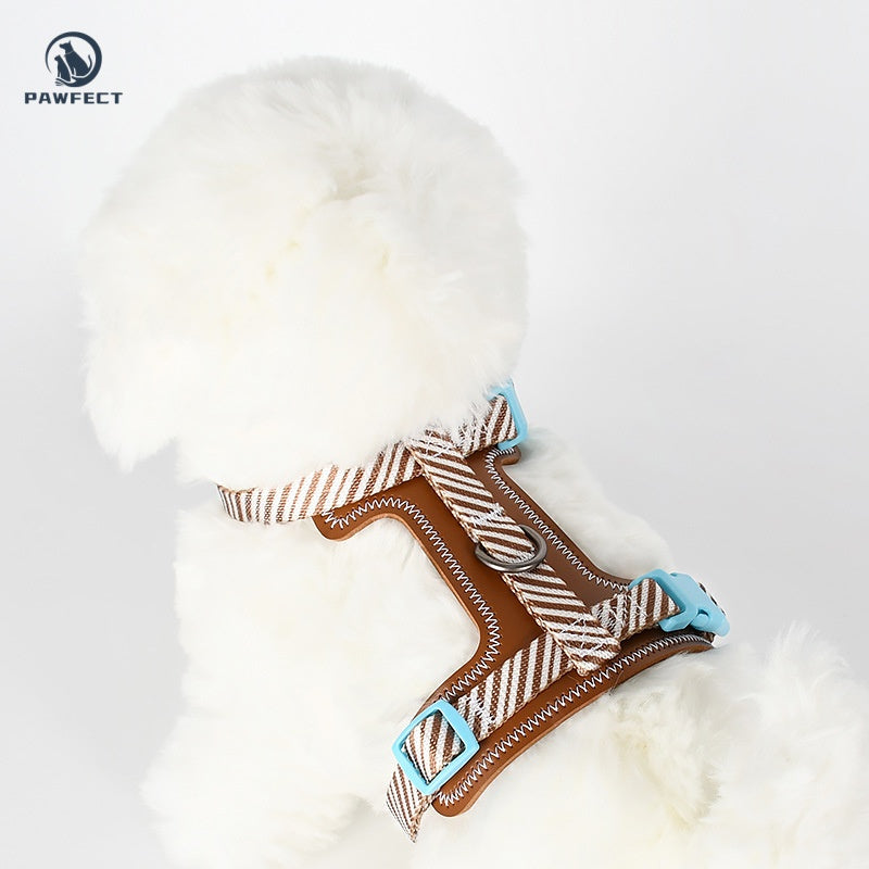 Leather Pet Harness & Leash Set – For Cats and Small Dogs