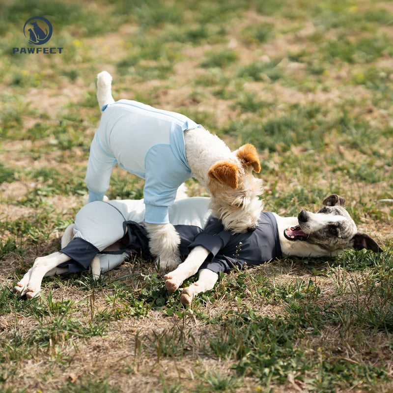 Cooling Quick-Dry UV-Protection Dog Jumpsuit – Breathable 4-Leg Design