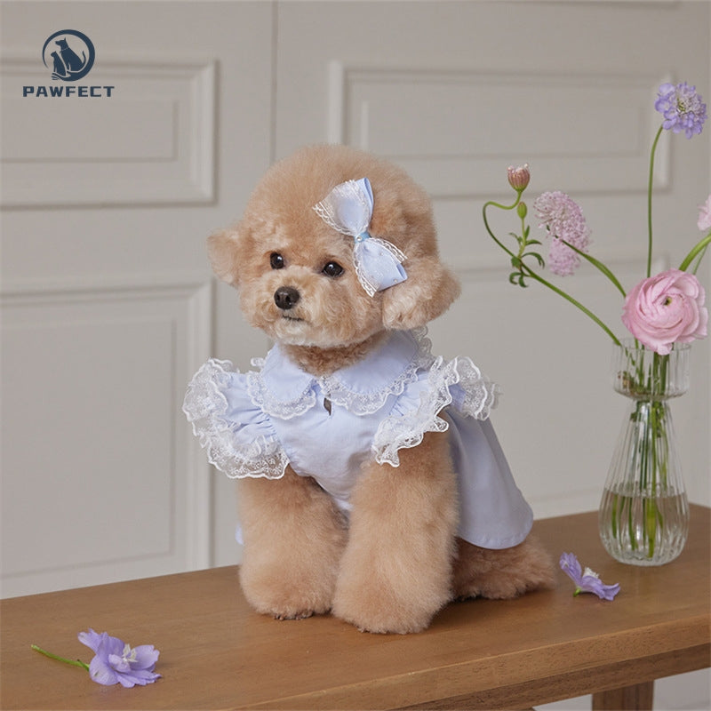 Lightweight Lace Flutter-Sleeve Dog Dress – Elegant Lady Style