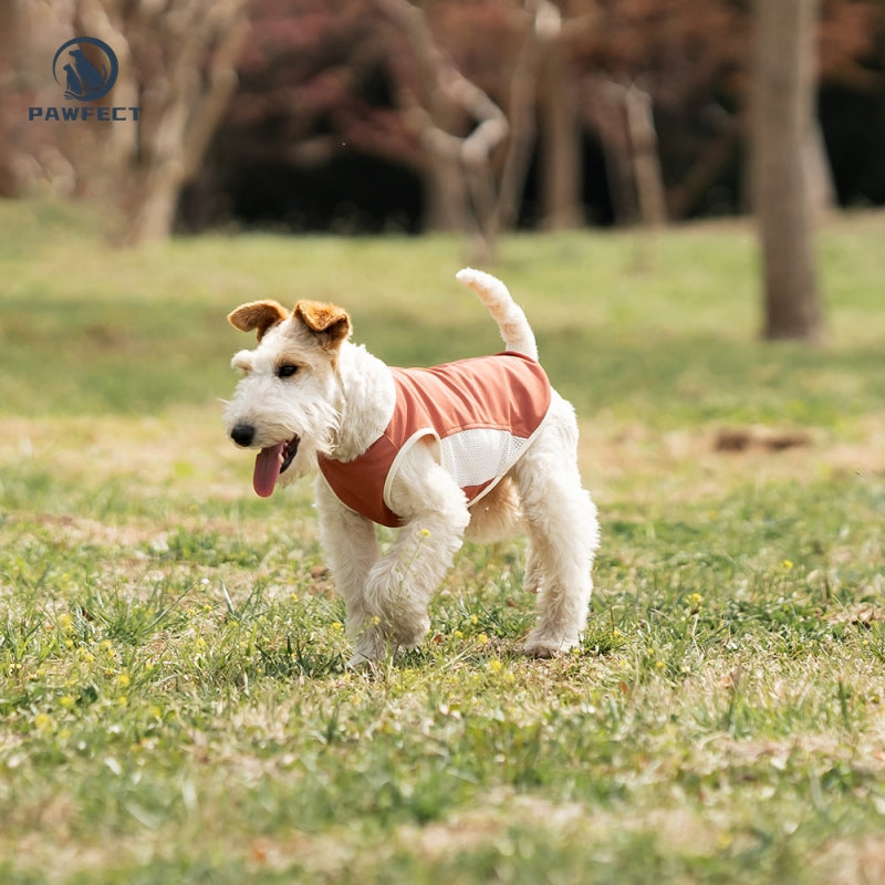 Breathable Mesh Quick-Dry Dog Vest